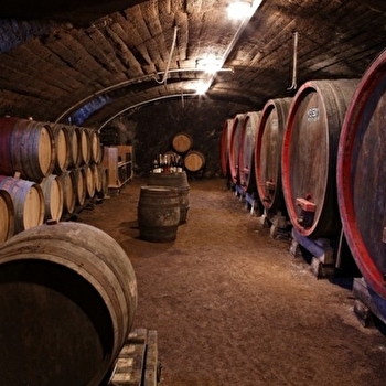 Domaine aux 4 Temps - VILLIE-MORGON