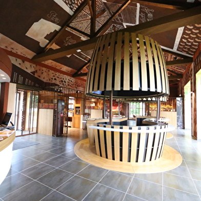 Domaine du Château de Pizay