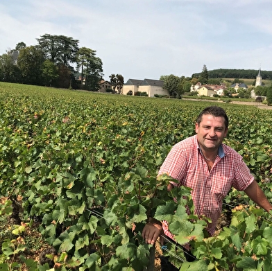 DOMAINE DUBOIS BERNARD ET FILS