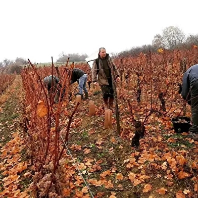Domaine des Sarmentelles