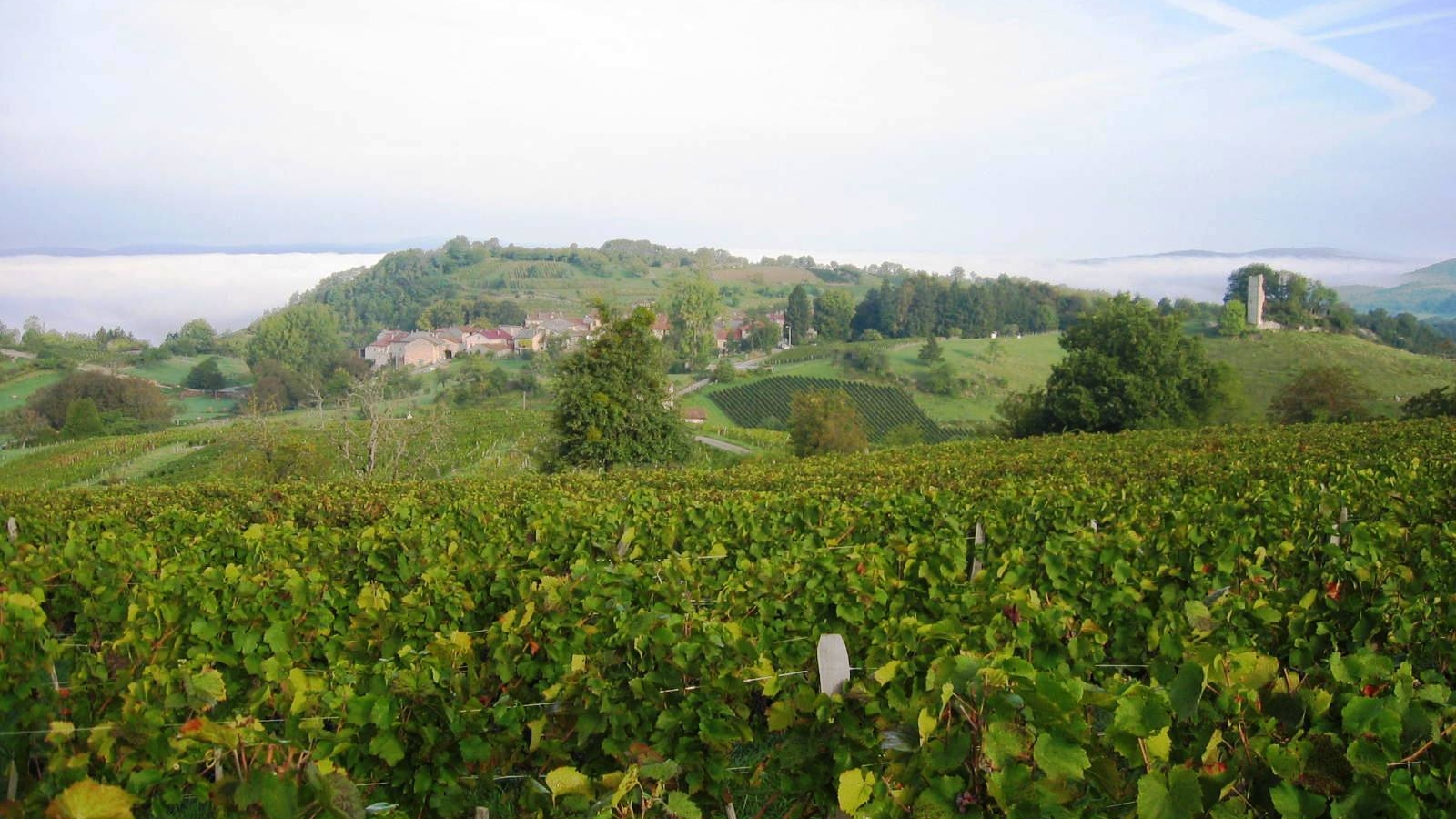 GAEC Philippe Balivet