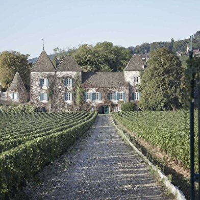 Domaine de la Commaraine