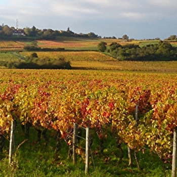 Davanture - SAINT-DESERT