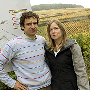 Rapet Père et Fils - PERNAND-VERGELESSES