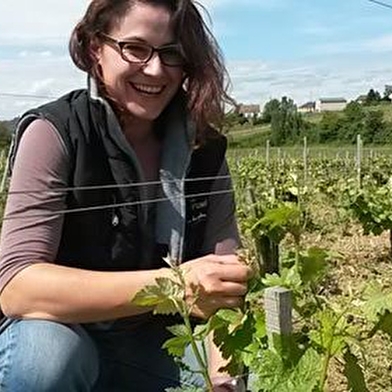 Domaine Marielle & Claude Michot