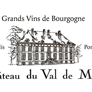 Château du Val de Mercy - CHITRY
