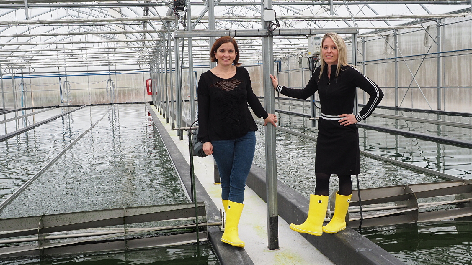 Visite d'une ferme de Spiruline