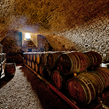 Maison Bonnot - SAINT-LOTHAIN