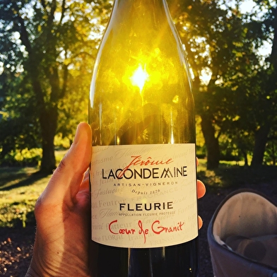 Domaine Jérôme Lacondemine