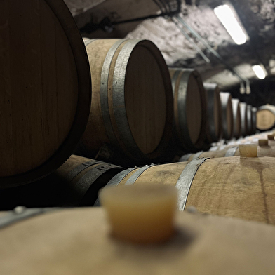 Château de Lachassagne