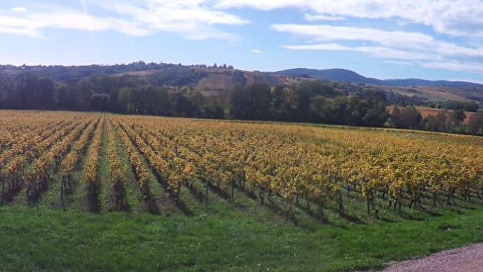 Domaine des Pérelles - Jean-Yves Larochette
