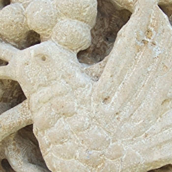 Grossot Jean-Pierre et Corinne - FLEYS