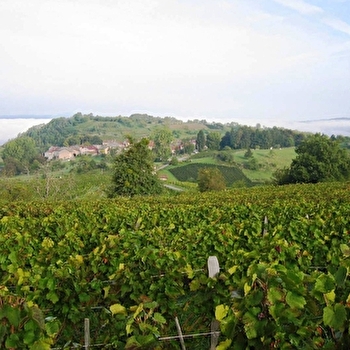 GAEC Philippe Balivet - MERIGNAT