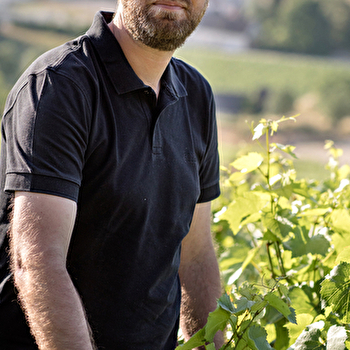 Dampt Vincent - CHABLIS