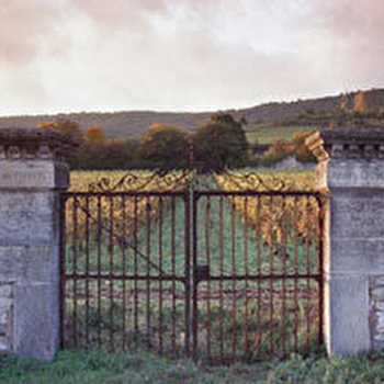 Grivault Albert - MEURSAULT