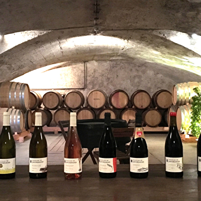 Château de Javernand