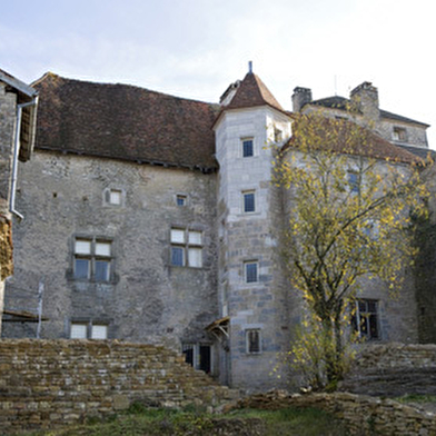 Château de Valleroy
