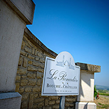 Domaine Bouchie Chatellier - SAINT-ANDELAIN