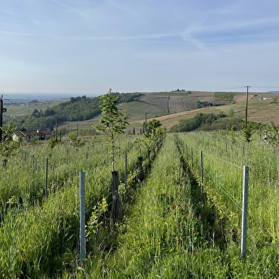 Château de Javernand