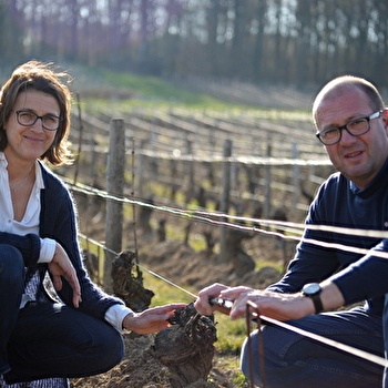 Domaine Serge Laloue - THAUVENAY