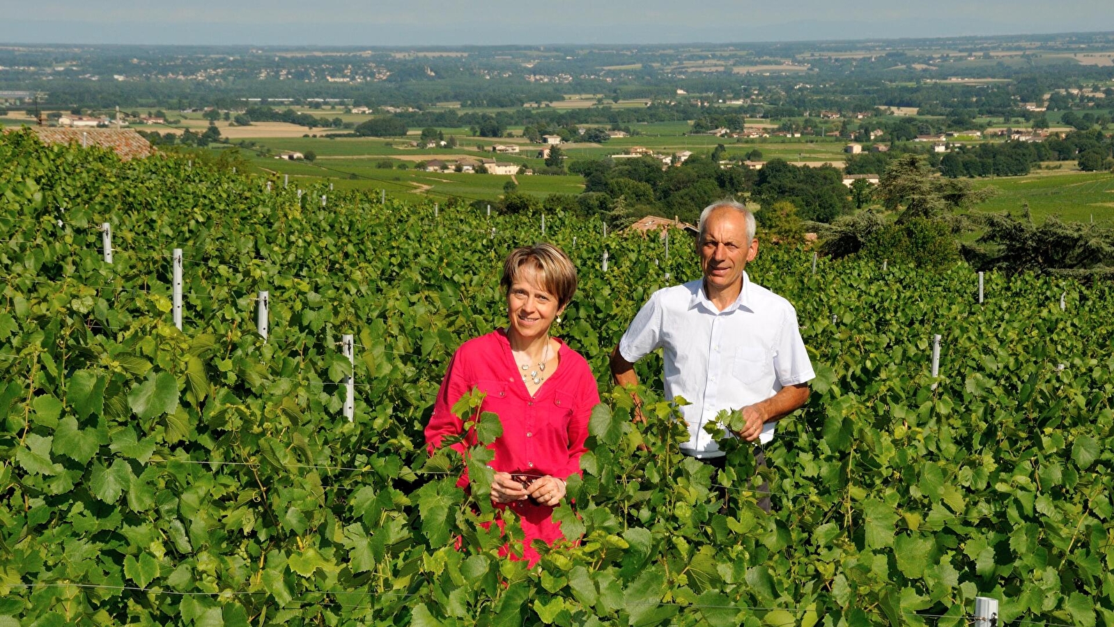 Domaine Les Roches Bleues