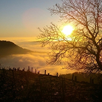 Caveau Alexis Bolliet - SAINT-ALBAN