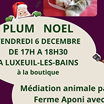 Plum(ailfe) Noël - LUXEUIL-LES-BAINS