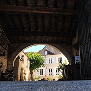 Domaine du Maitre de Poste - SAINT-BRIS-LE-VINEUX