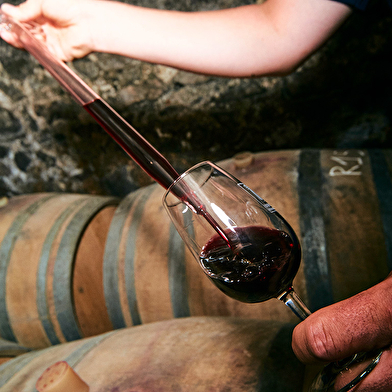 Domaine Steeve Charvet