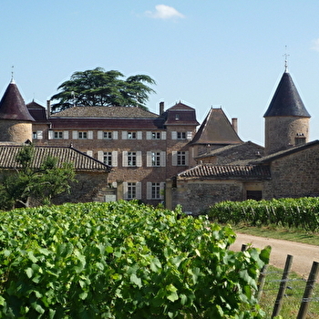 Château de Chasselas - CHASSELAS