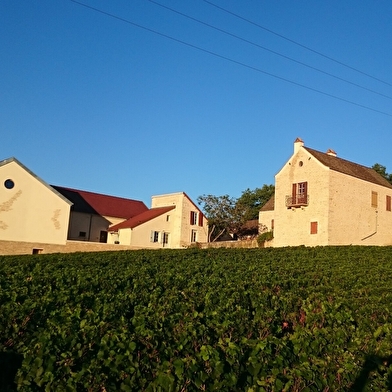 Comtesse de Chérisey - Martelet Hélène et Laurent