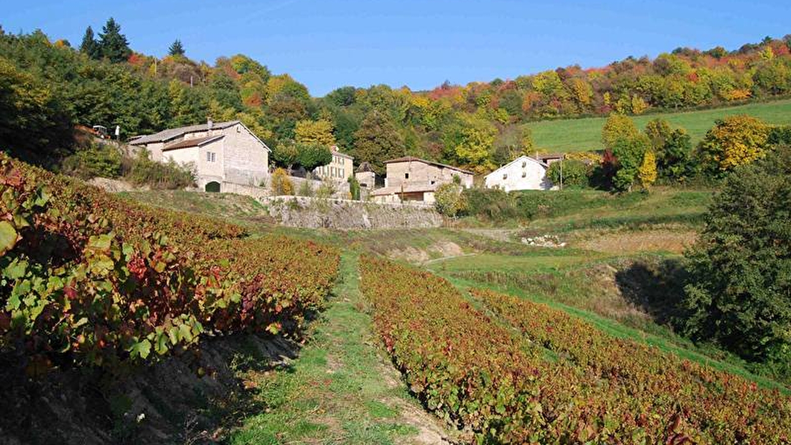Jean-Luc Ducruix - Domaine de Vavril