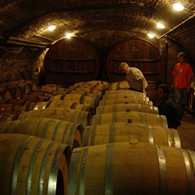 Château des Correaux - Bernard Germain