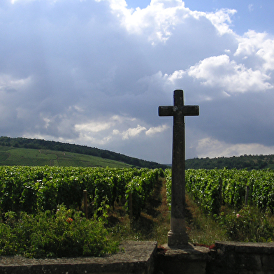 Coudray Bizot, Château D. Beaufort