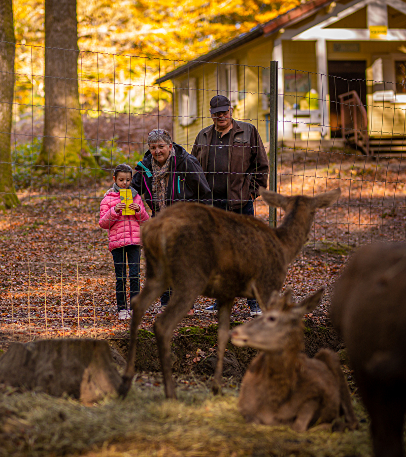 Parc animalier de Fougerolles Saint Valbert