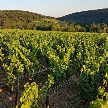 Giboulot Emmanuel - BEAUNE