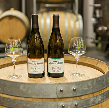 Gondard-Perrin - VIRE