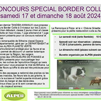 Concours spécial Border Collie