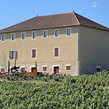 Château Gaillard - VILLIE-MORGON