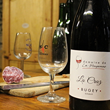 Domaine de la Pouponne - SAINT-SORLIN-EN-BUGEY