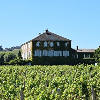 Château des Bâchelards - FLEURIE