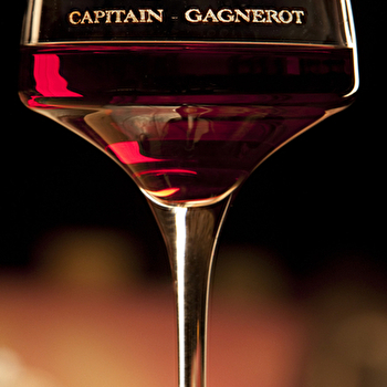 Capitain-Gagnerot - LADOIX-SERRIGNY