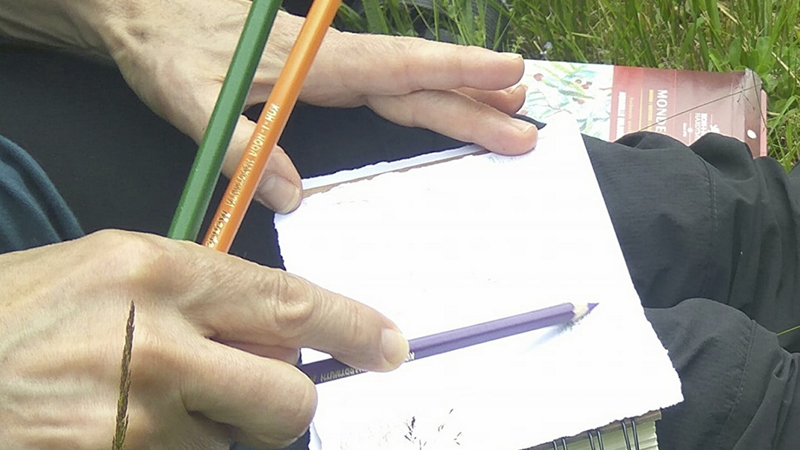 Atelier, se ressourcer, se balader et créer ' Carnet de balade, d’un point de vue à l’autre '