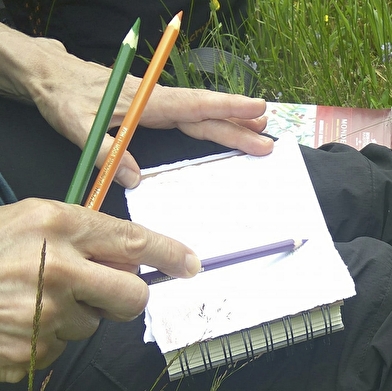 Carnet de balade : d'un point de vue à l'autre
