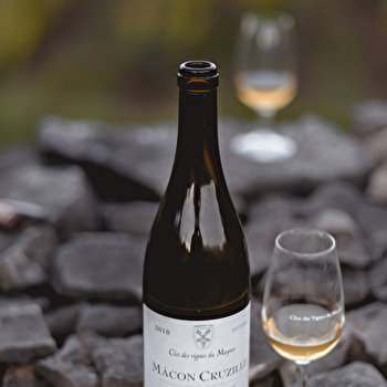 Domaine des Vignes du Maynes - CRUZILLE