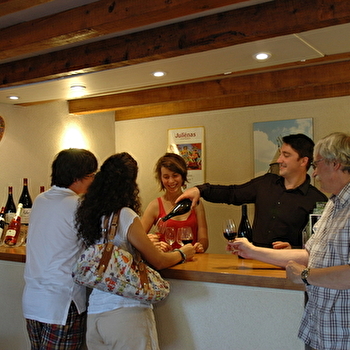 Domaine Hirsch - CHENAS