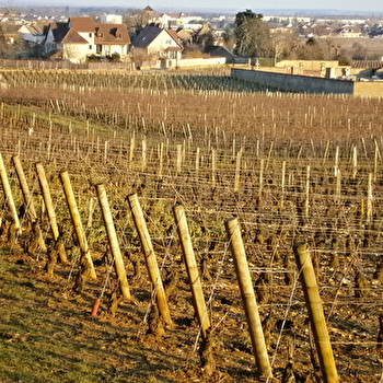 Le Clos des Mazières - Laurent Georges - BROCHON