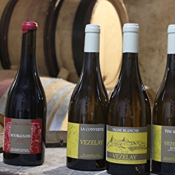 Le Cellier de l'abbaye - Domaine Martin Barbieux - VEZELAY