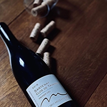 Muzard Lucien et Fils - SANTENAY