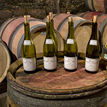 Dufouleur Loïs - BEAUNE